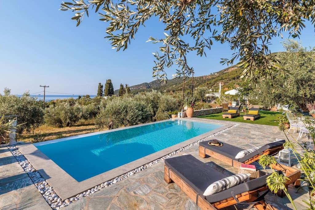 Skopelos Blue Heaven Pool Villa In Olive Grove エクステリア 写真
