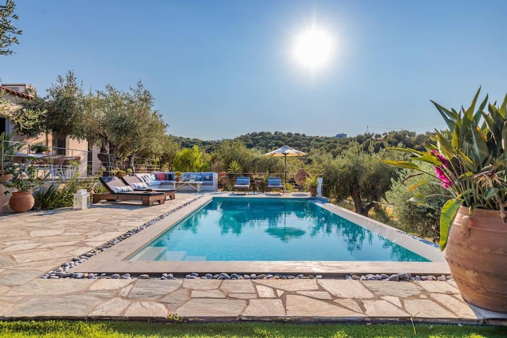 Skopelos Blue Heaven Pool Villa In Olive Grove エクステリア 写真