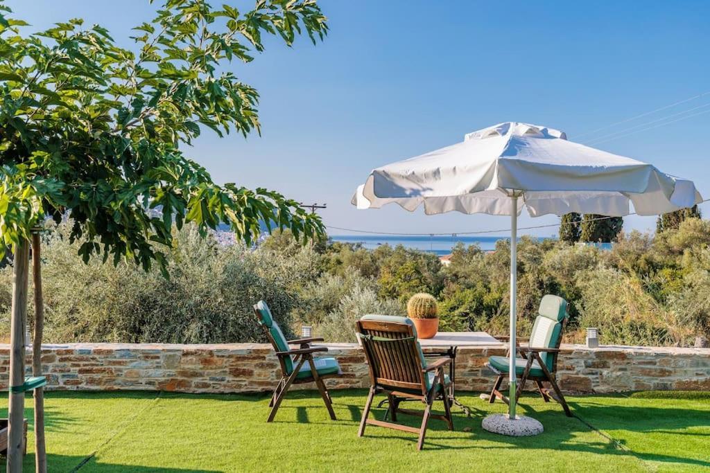 Skopelos Blue Heaven Pool Villa In Olive Grove エクステリア 写真