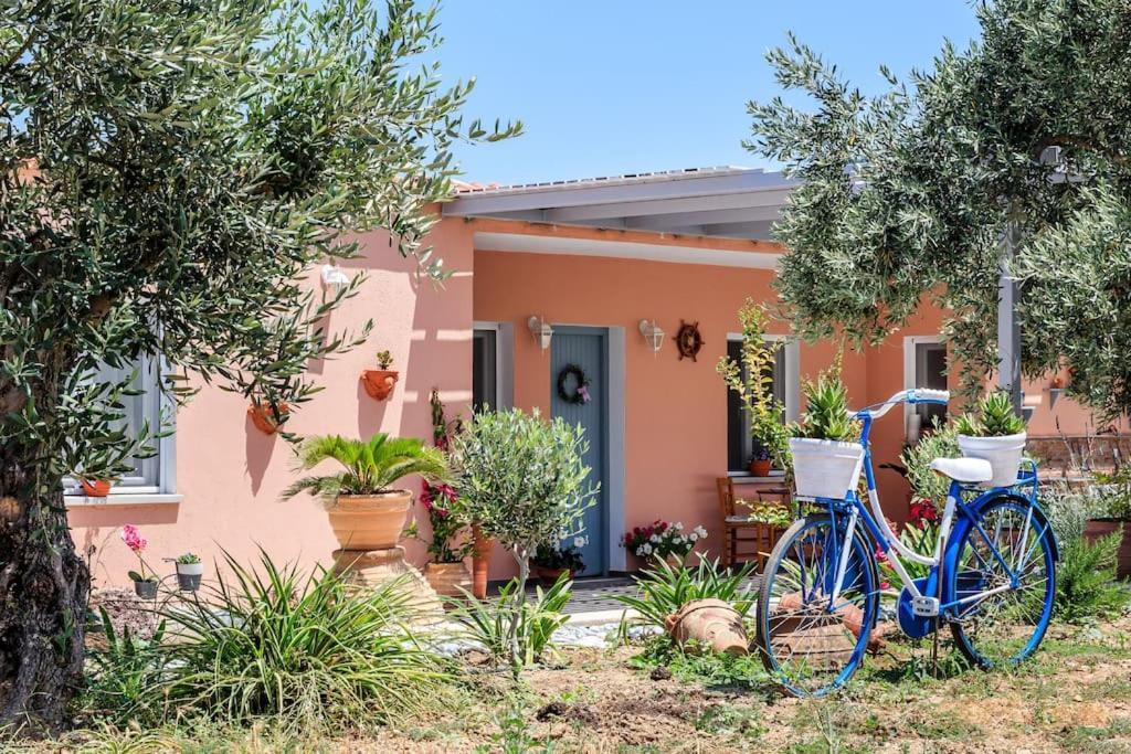 Skopelos Blue Heaven Pool Villa In Olive Grove エクステリア 写真
