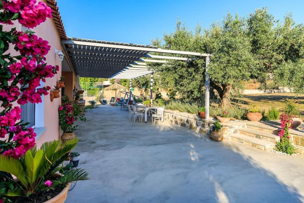 Skopelos Blue Heaven Pool Villa In Olive Grove エクステリア 写真